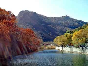 新澳门二四六天天彩，露地大葱种植技术视频